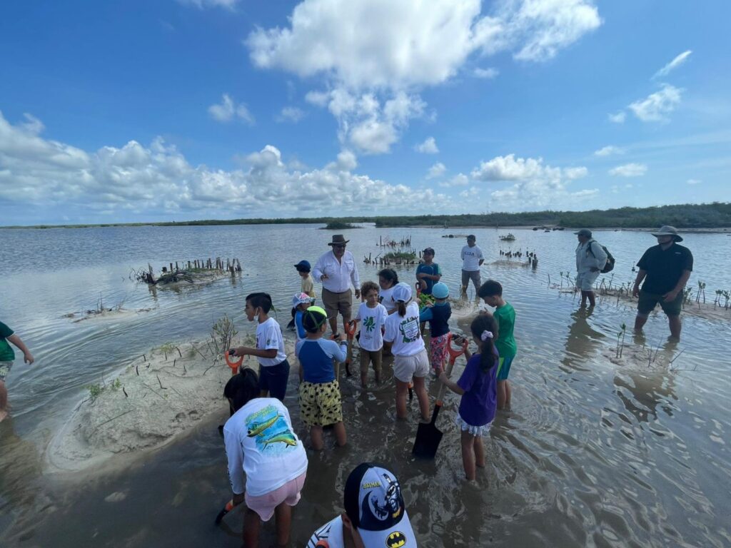 Jóvenes Por La Conservación Aprenden A Restaurar El Ecosistema Del Manglar Código Rojo